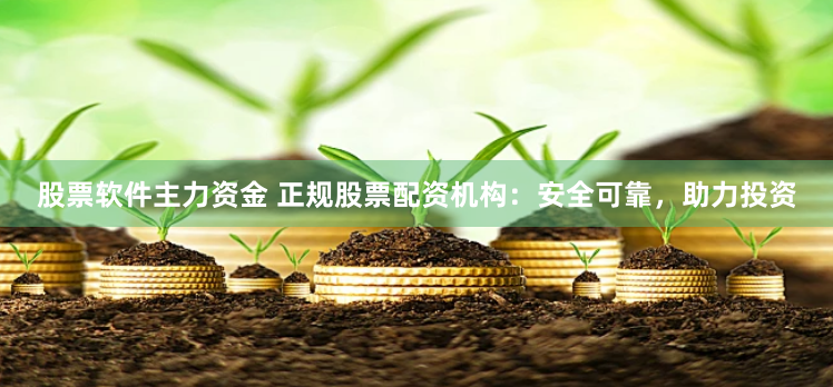 股票软件主力资金 正规股票配资机构：安全可靠，助力投资